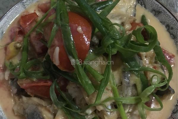 番茄香葱焖鱼尾的做法图解8
