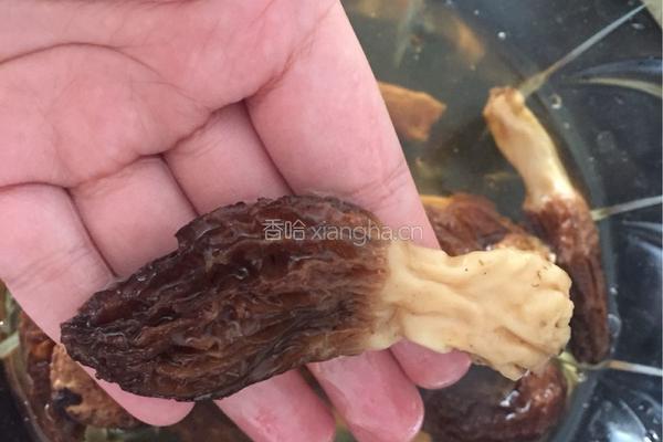 羊肚菌猪骨汤的做法图解3