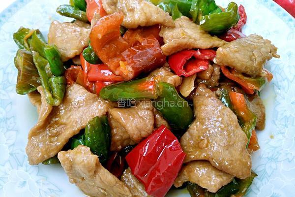 辣椒肉片的做法图解14