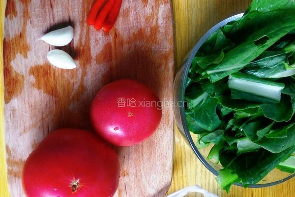 酸汤凉面的做法图解1