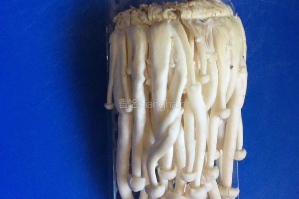 鲜菇鲍鱼的做法图解2