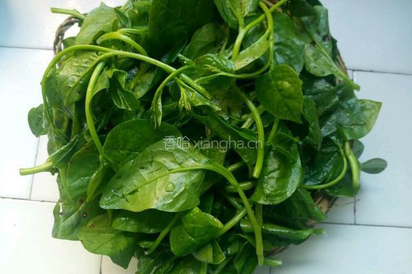 清炒豆腐菜的做法图解2