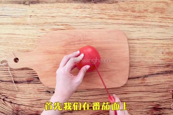 网红一个番茄焖饭（宿舍党福音）的做法图解2