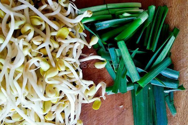 炒豆芽的做法图解2