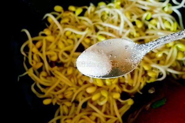 炒豆芽的做法图解6