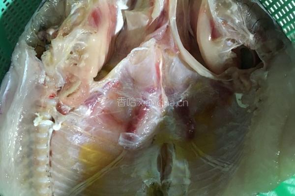 红烧鱼头的做法图解1