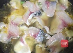酸菜鱼的做法图解8