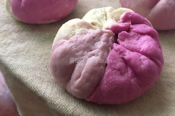 彩色鸡肉包的做法图解16