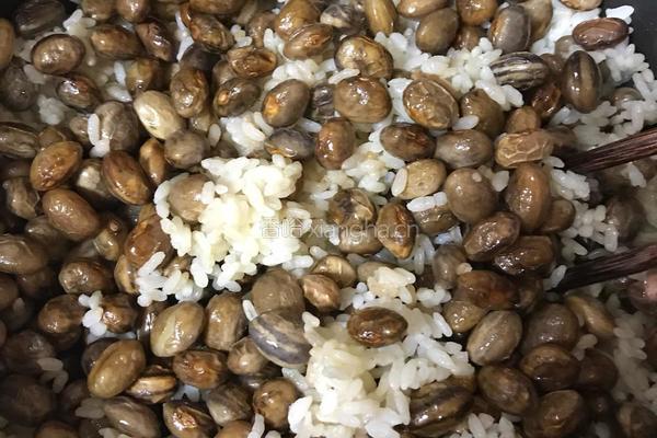 花芸豆焖饭的做法图解8