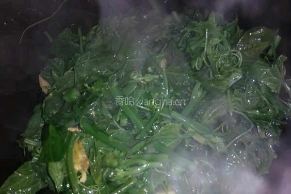 清炒洋瓜尖