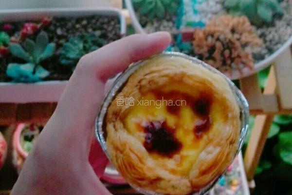 快手蛋挞的做法图解5