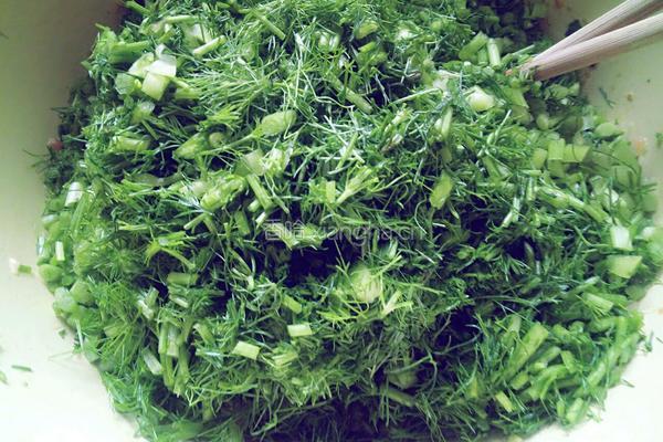 猪肉茴香包子的做法图解15