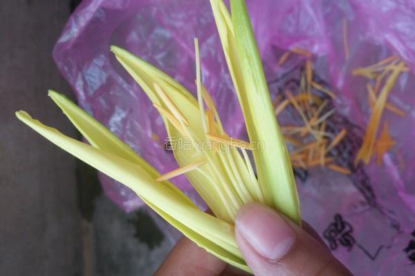 黄花菜黄豆薏米筒骨汤的做法图解6