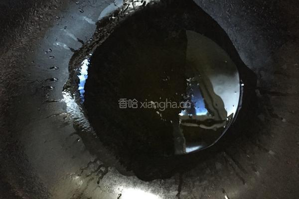 红烧鹌鹑的做法图解5
