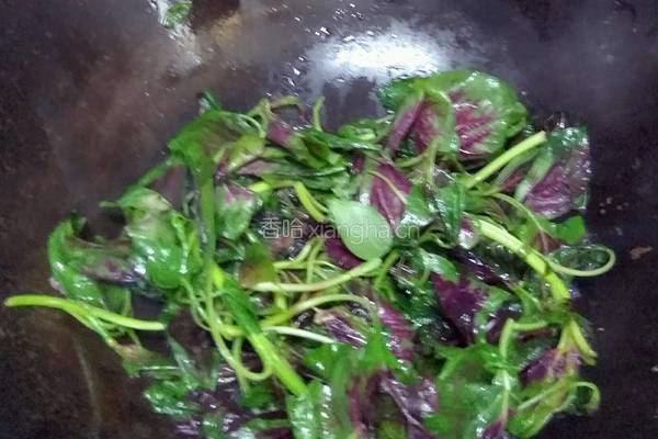 素炒苋菜的做法图解3