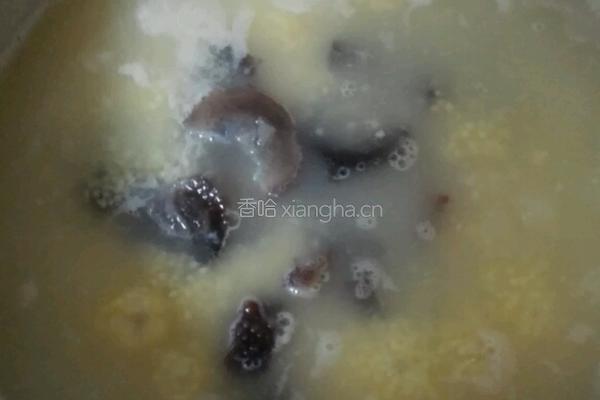 小米海参粥的做法图解6