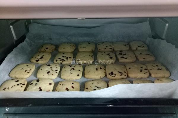 蔓越莓饼干的做法图解13