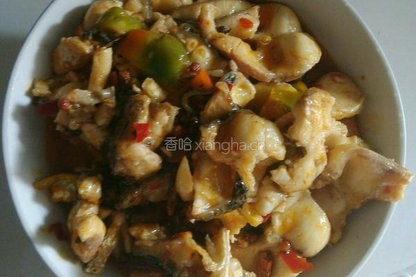 干拔才鱼（黑鱼）的做法图解5