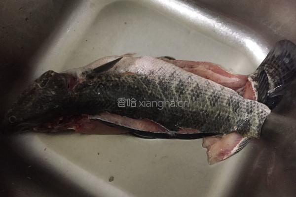 酸菜黑鱼的做法图解1