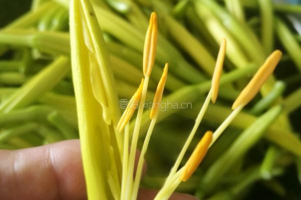 柠檬鲜黄花的做法图解2