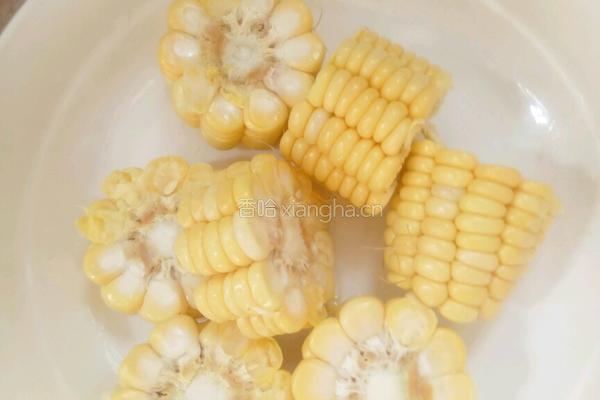 红豆薏米排骨汤的做法图解8
