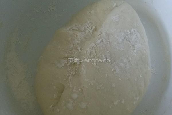 头伏饺子的做法图解4