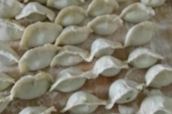 头伏饺子的做法图解8