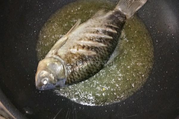 农夫鲫鱼的做法图解3