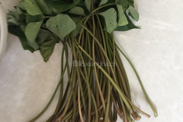 肉丝炒蕃薯藤的做法图解1