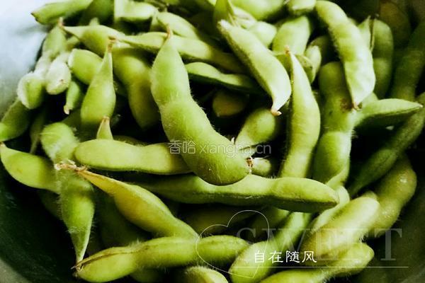 煮毛豆的做法图解1