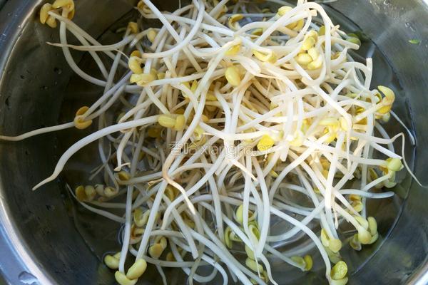 芹菜拌黄豆芽的做法图解1