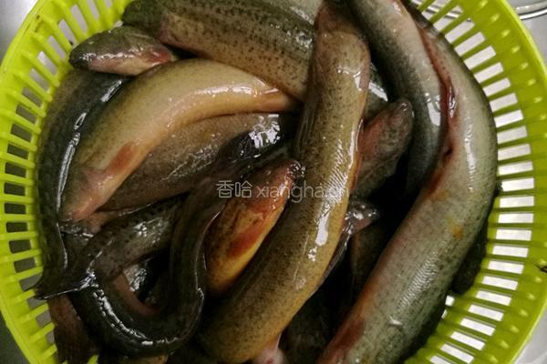 泥鳅烧豆腐的做法图解1