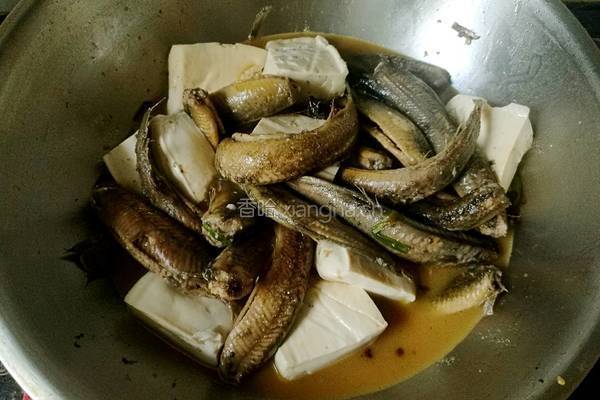 泥鳅烧豆腐的做法图解4