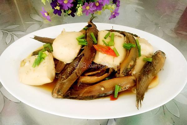泥鳅烧豆腐的做法图解5