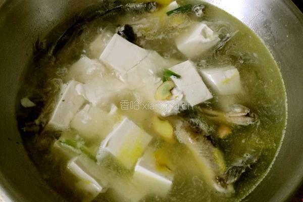 泥鳅豆腐汤的做法图解3