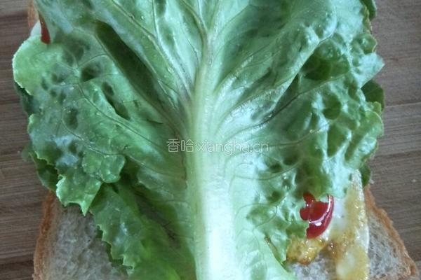 三明治汉堡的做法图解9