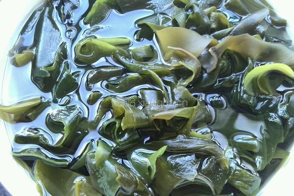 海菜包子的做法图解2