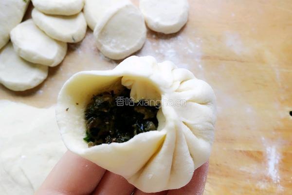 马齿苋猪皮包子的做法图解10