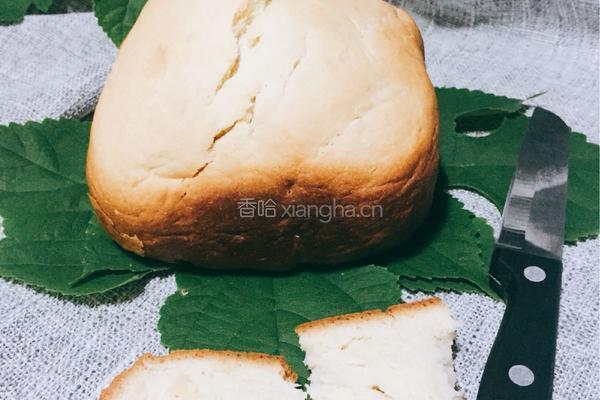 面包机版猪油面包的做法图解4