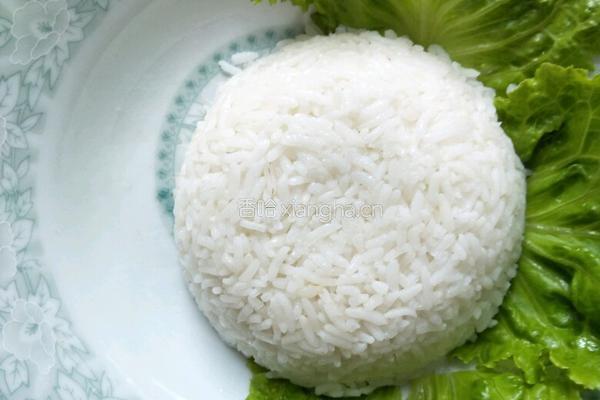 海苔鸡排饭的做法图解10