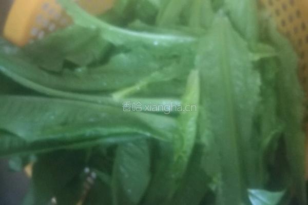 清炒油麦菜的做法图解1