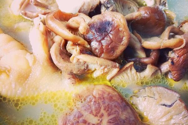 香菇炖鸡的做法图解3