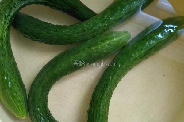 爽口黄瓜片的做法图解2