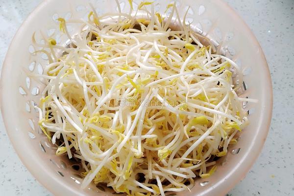 炒绿豆芽的做法图解2