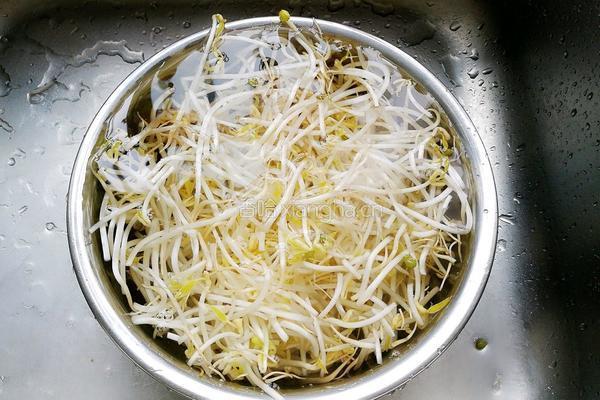 炒绿豆芽的做法图解1