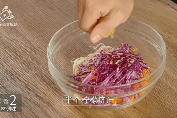清爽柠檬薄荷鸡丝 减肥族的低脂肉菜的做法图解11