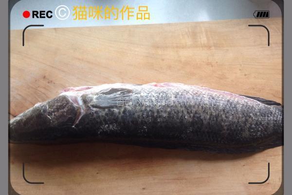麻辣鱼片的做法图解1