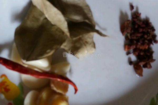 大葱炒鸭子的做法图解5