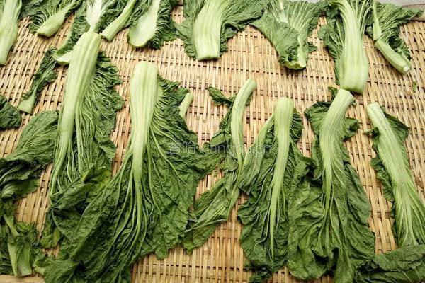 酸菜的做法图解3