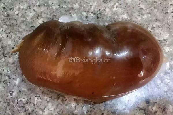 家常酱肘子的做法图解6
